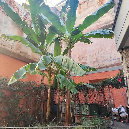 Memo Apartamento Milán