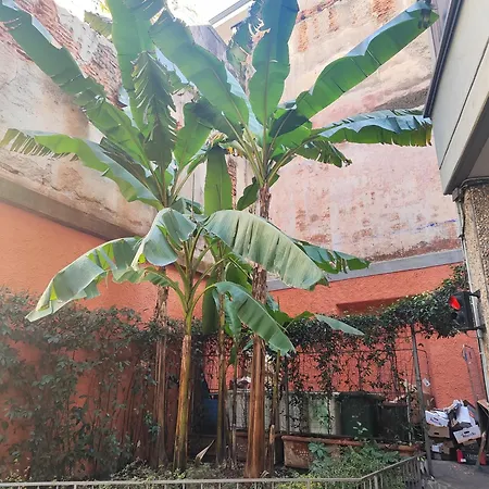 Memo Apartamento Milán
